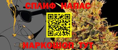 гашик Новокубанск