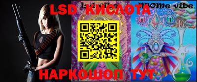 гашик Новокубанск