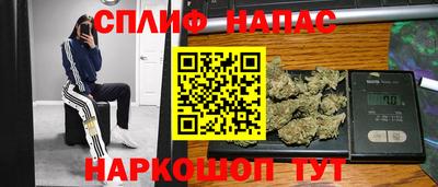 гашик Новокубанск