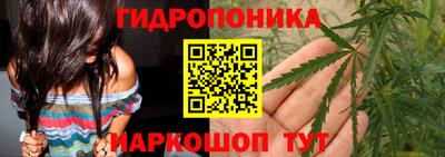гашик Новокубанск
