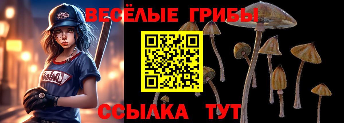 Галлюциногенные грибы Psilocybe Семилуки